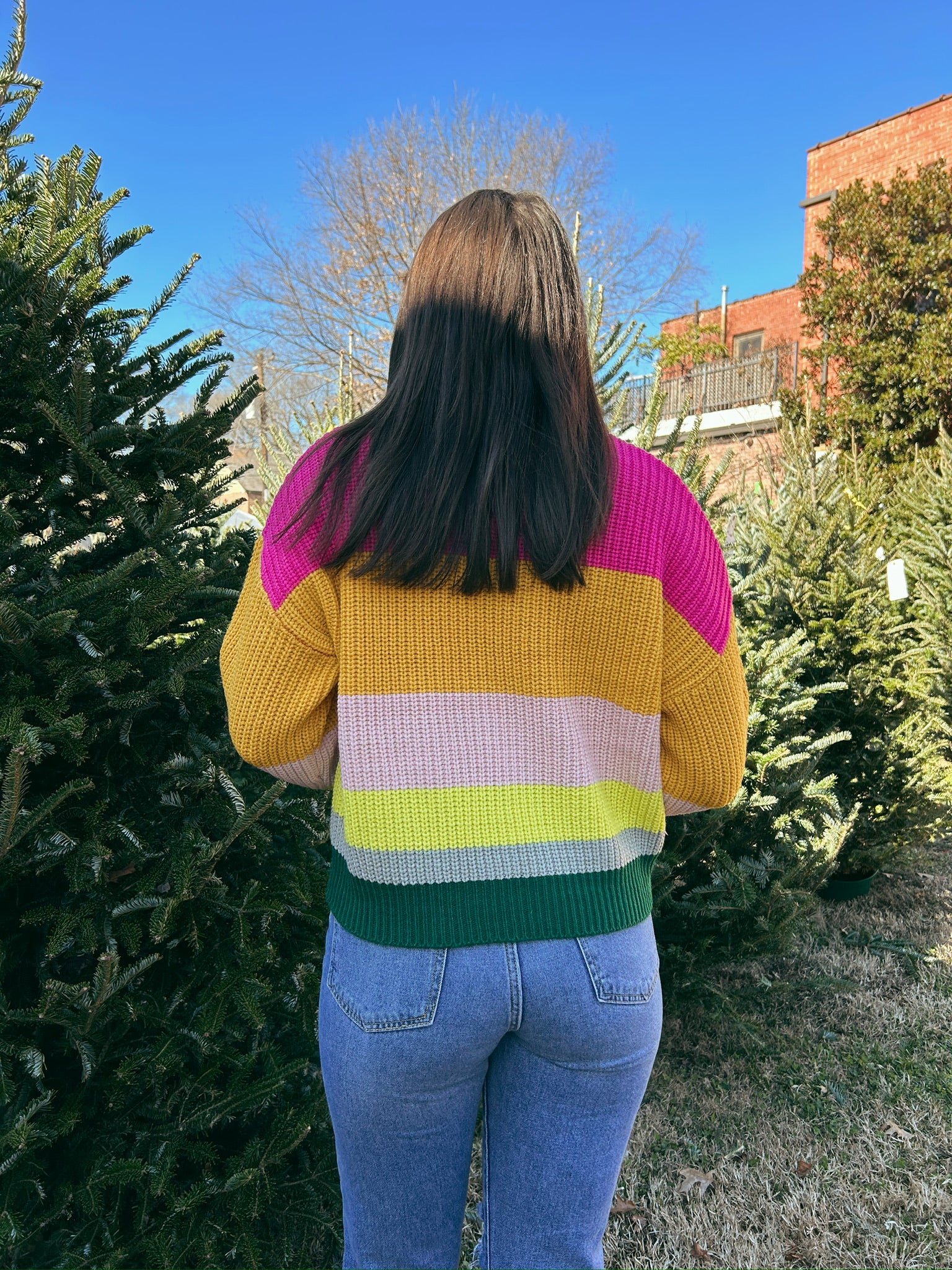 Winter Rainbow Sweater