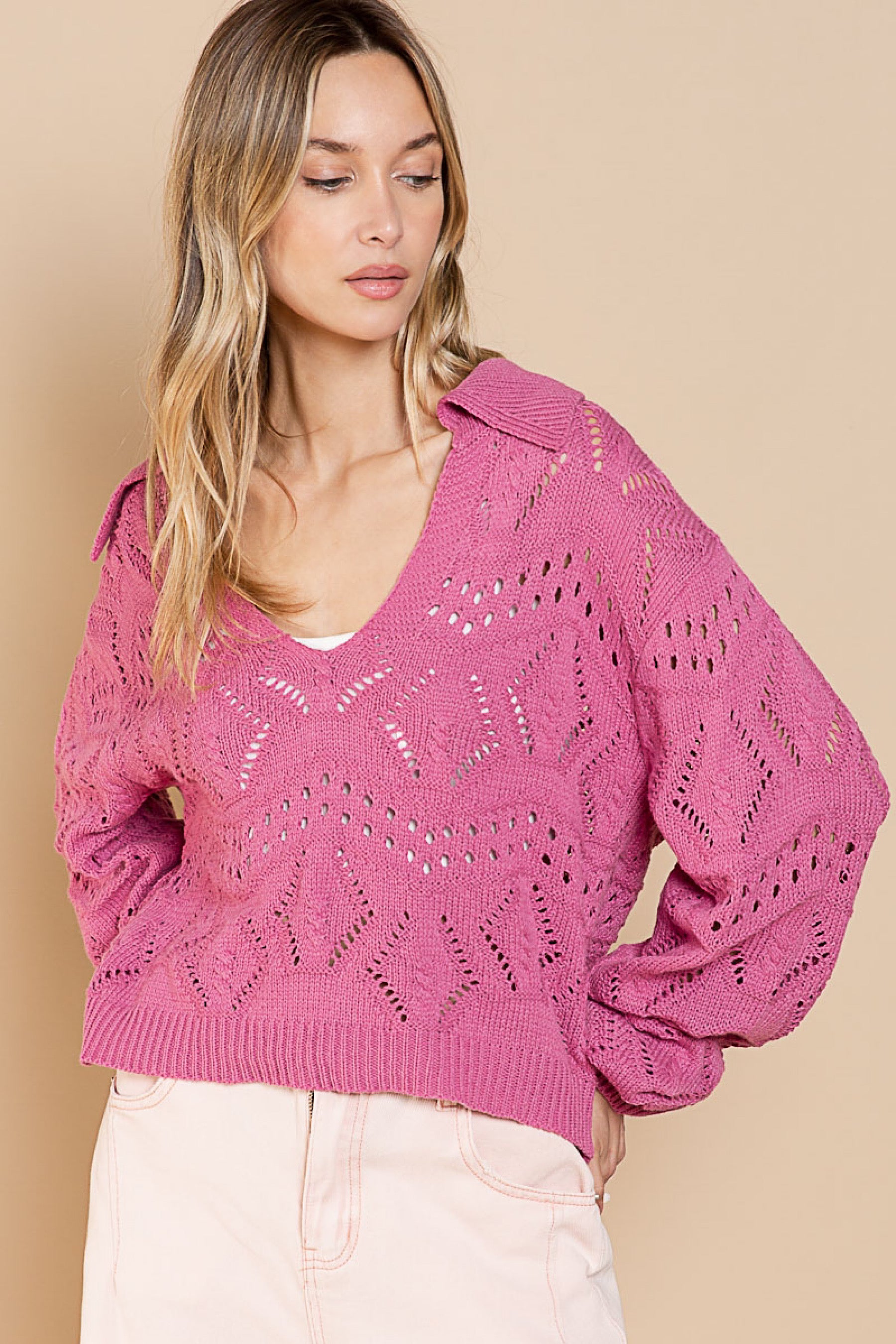 Rose Knit Collared Sweater